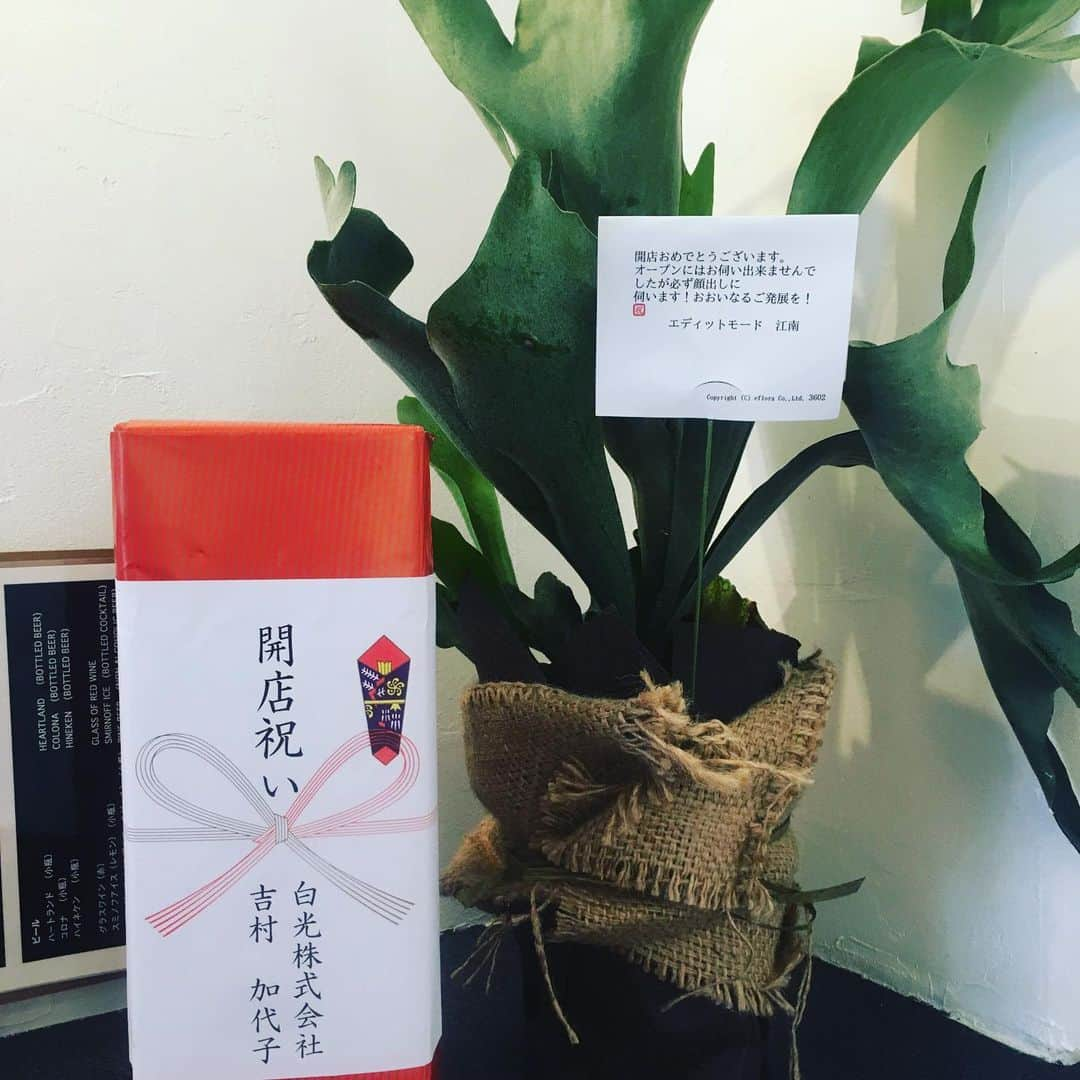 Julie Wataiさんのインスタグラム写真 - (Julie WataiInstagram)「本日これより開店します！沢山お花が届きました、ありがとうございます！🌺😭 白光株式会社 吉村社長、まゆたん、深夜喫茶銭ゲバさん、xxx of WONDER(南波志帆ちゃん、Dr.Usuiさん、フレネシさん、岸田メルさん)、Drillbrosさん、エディットモード 江南さん、ヘアサロン Choose JOYさん、！ありがとうございます！！」7月20日 17時22分 - juliewatai