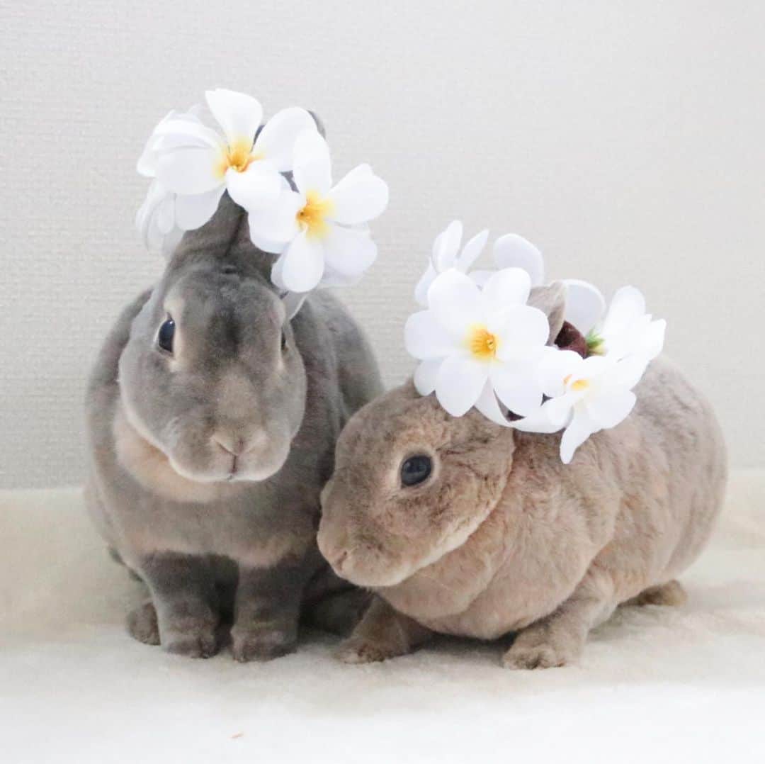 Kayoのインスタグラム：「🌼♡🌼♡🌼 ぴたっ あーん からの、キメっ✨」