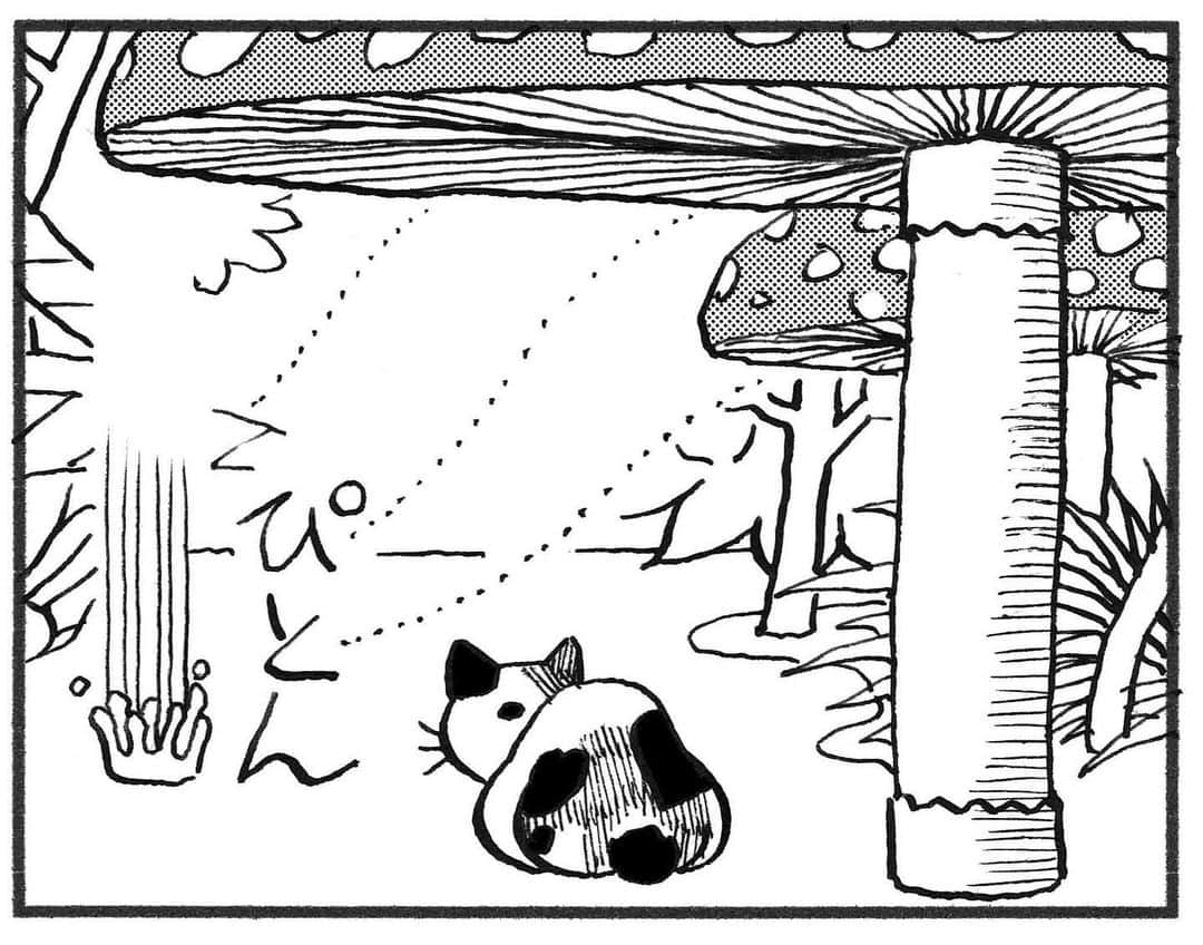 相原コージさんのインスタグラム写真 - (相原コージInstagram)「一寸法師や親指姫、アリエッテイがいるのならこびとねこがいたっていいじゃないか！『こびとねこ』発売です。 #こびとねこ #ねこ #漫画 #ねこ漫画 #きのこ #雨上がり #thumbcat #manga  #cat #comic #aiharakoji」7月20日 18時37分 - kojiaihara