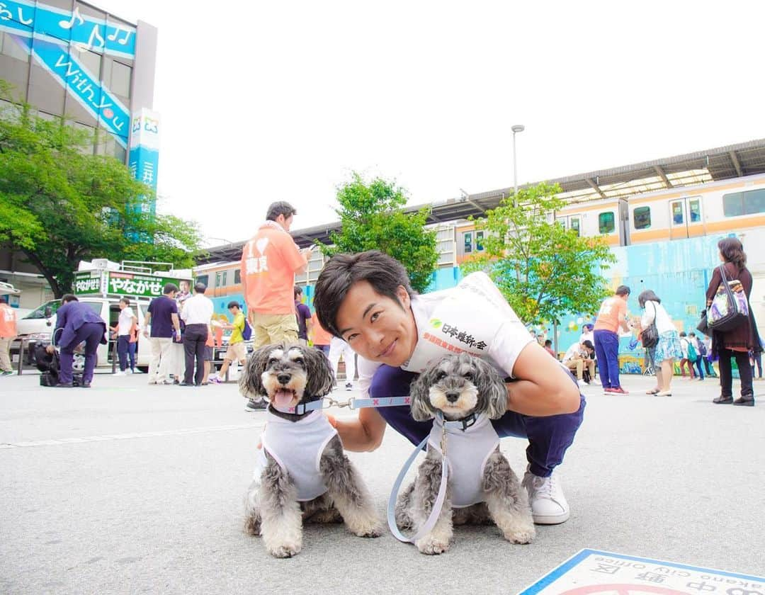 中野区在住のミニシュナのInstagramさんのインスタグラム写真 - (中野区在住のミニシュナのInstagramInstagram)「⑅︎◡̈︎* ・ おときた駿さんと一緒にこんばんワン*:ஐ(●︎˘͈ ᵕ˘͈)人(˘͈ᵕ ˘͈●︎)ஐ:* 明日は参議院選挙投票に行くよ！なマーブルとイヴです。ʕ·͡ˑ·ཻʔෆ⃛ʕ•̫͡•ོʔ ・ 今日は、パパ様と中野駅までおときた駿さん @otokitashun の演説を聞きに行って来ました♪ パパ様の熱く長い思いをブログに書きましたので、よろしければプロフィール欄のURLからブログもご覧くださいませ♥︎︎∗︎*ﾟ ・ #おときた駿  #参議院選挙2019  #しゅなら部 #ミニチュアシュナウザー #ミニシュナ #シュナウザー #miniatureschnauzer #schnauzer #schnauzerofinstagram #schnauzer_lovers  #schnauzer_planet  #schnauzer_of_instagram  #schnauzer_feature  #雪纳瑞 #史納莎  #inulog #east_dog_japan #all_dog_japan  #todayswanko  #inutokyo  #dogsta #pecoいぬ部 #qpetいぬ部 #ペトこと犬部 #イヌトミィ #rakutenpet #insta_dog」7月20日 19時03分 - marble_eve