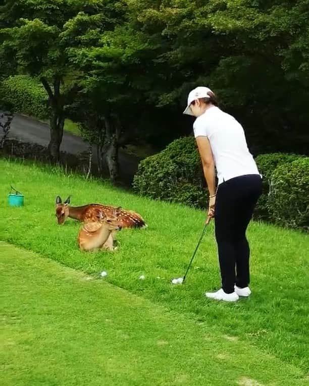 セキユウティンのグルメインスタ