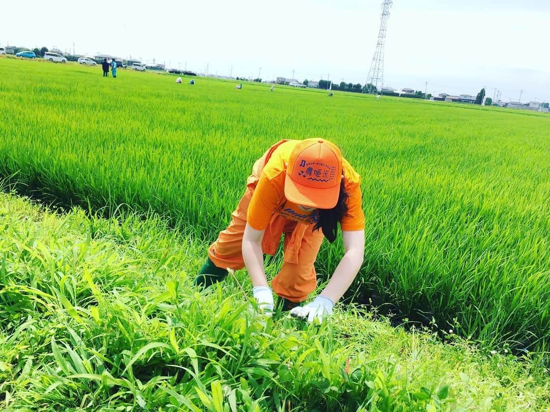 のインスタグラム：「荒井の田んぼで農姫米の草刈り🌾 ここは東日本大震災で津波が来た場所なんです。  今日は市民の皆さんと、手で草刈り😆 カエル🐸や虫達と戯れながら、雑草と格闘‼️ 子供達のエネルギーはやっぱりすごいね☺️✨ みんなよく頑張りました💪  天気も良くてよかった‼️ #五十嵐商会 #農姫米 #仙女 #ティーナカリーナ」