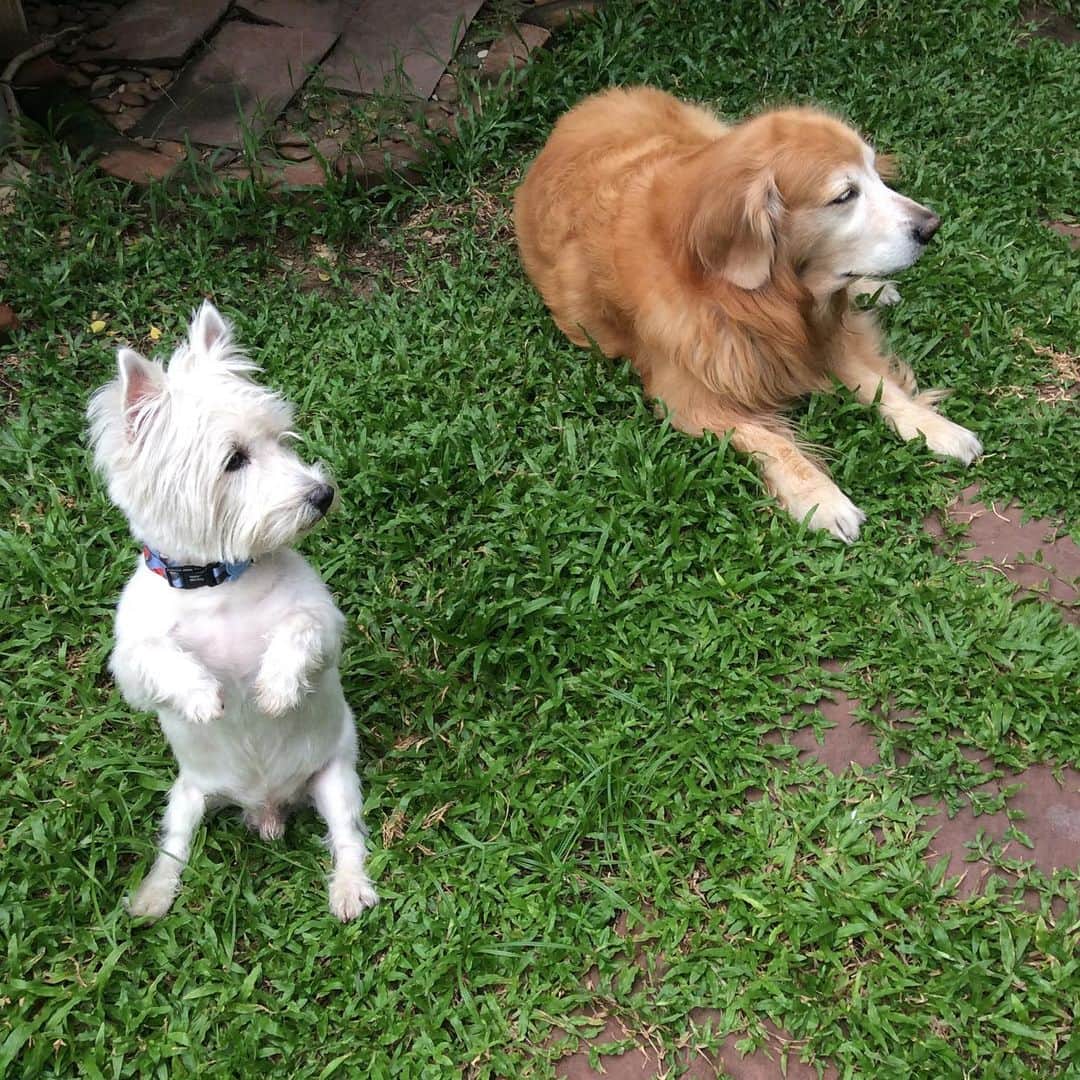 Hoykong&Plamuekのインスタグラム：「Chilling Saturday #hkpm」