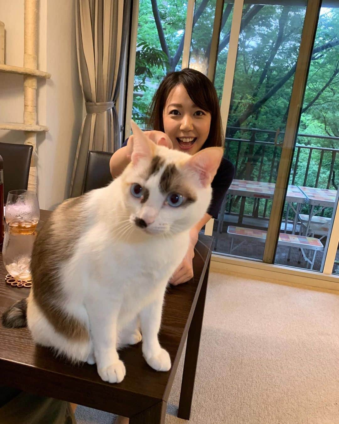 須黒清華さんのインスタグラム写真 - (須黒清華Instagram)「ナズナちゃん😸 カメラ目線してー‼︎ とお願いしたけど、思いは通じず💦 だけどその後、フワッフワのお腹見せてくれました♡ . 期日前投票を終えて、今日も選挙の勉強中〜📝 でも、アド街は観なきゃ😋笑 今日は「埼玉・深谷」です✨ #猫 #保護猫 ちゃん #本橋恵美 さん家の猫ちゃん🐱 #アド街 #アド街ック天国 #深谷 #埼玉  明日は#参院選 #池上彰の参院選ライブ ご覧くださいね✨」7月20日 20時09分 - sayaka_suguro