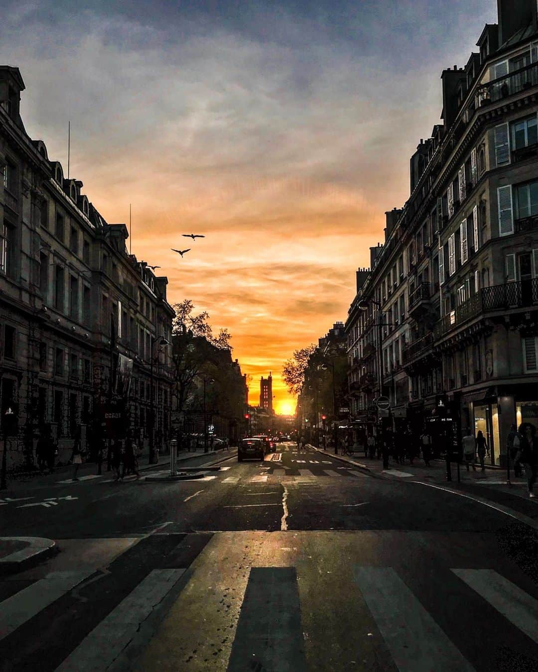 NICOLAS SIMOESのインスタグラム：「[And here came the sun ☀️] - What’s your plans for the weekend guys? ✨」