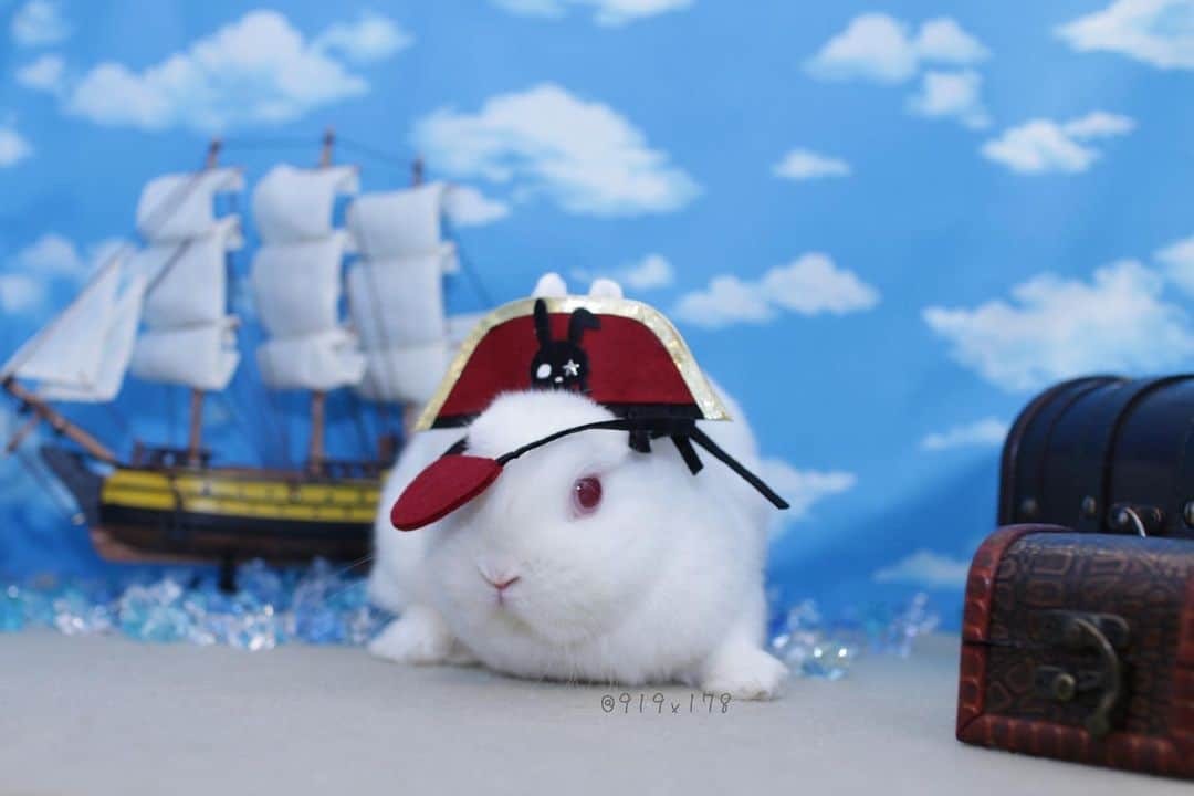MaRi.Kのインスタグラム：「久しぶりのだんごちゃん @shinya_nnn  今日はギャラリーがいたので、モデルに乗り気なだんごちゃん😂  久しぶりにどりるちゃん @kotedoriru ともご対面。  #ココロのおうち の撮影コーナーにて集合✨  #ふんわりランくん 、 #ふんわりココ ちゃん 、#どりる瑚ちゃん 、おはなちゃん🎶  #仕立屋兎 #ふんわりさん #棚からうさもち」