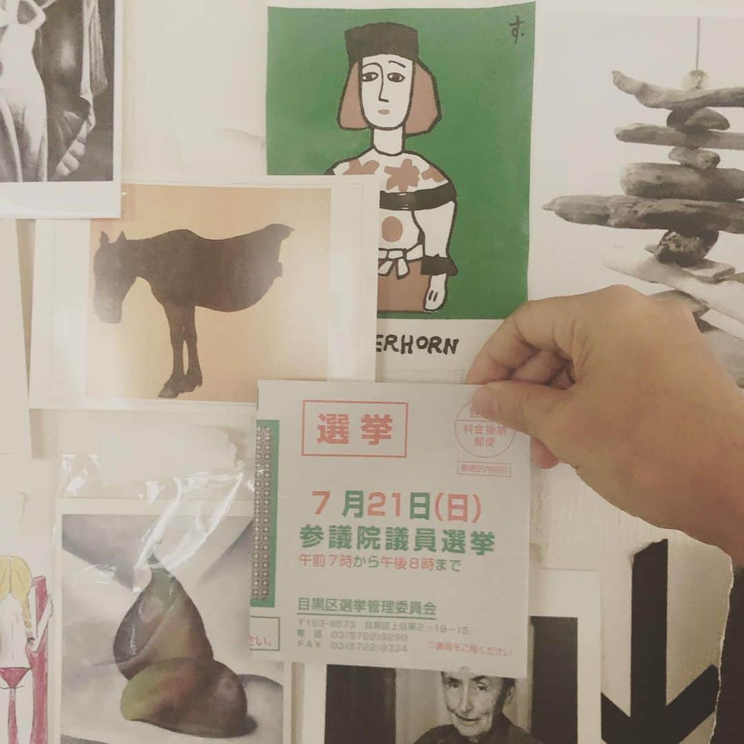 のインスタグラム：「. . go vote... . move to believe in the future. . 彼らの演説を聞くたびに未来に 希望がもてる気がする。 . #令和に希望を #taroyamamoto #govote」