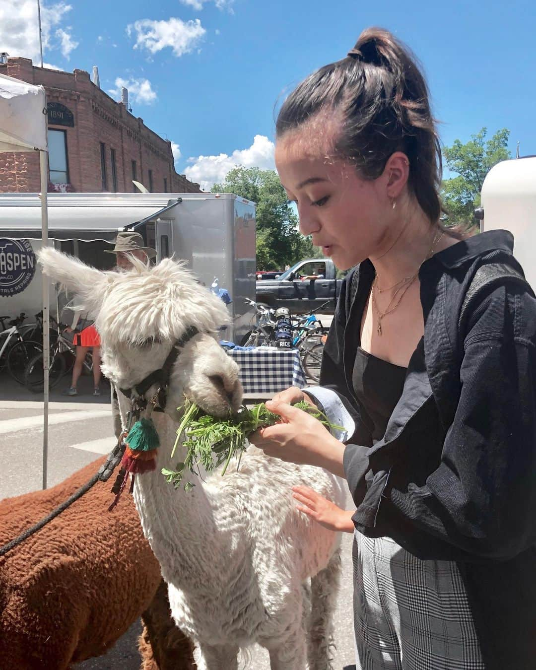 澄那シュトゥーダーさんのインスタグラム写真 - (澄那シュトゥーダーInstagram)「Fed carrot greens to some alpacas today 🦙 Worried he would mistake my fingers for carrots 😗」7月21日 7時27分 - suminastuder