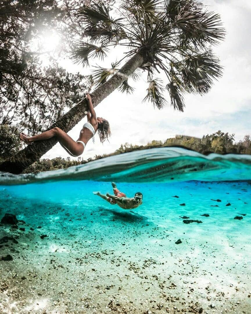 Discover Earthさんのインスタグラム写真 - (Discover EarthInstagram)「"Had such an epic day in the clear kayaks exploring Crystal River! Highly recommend it if you're in Florida! And it's pretty epic to see manatees swim under you!" 🇺🇸 — 📍#DiscoverFlorida — 📸 Photo by @chrisrogers ft. @shawnmwatson & @kristinarec」7月20日 23時26分 - discoverearth