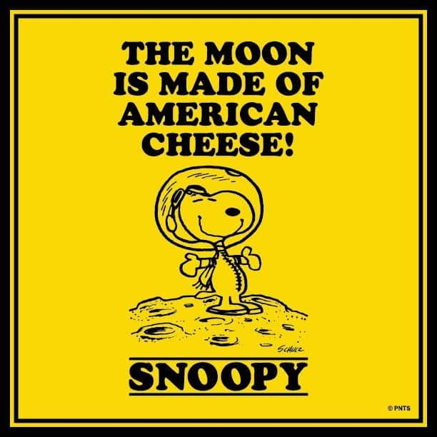 スヌーピーさんのインスタグラム写真 - (スヌーピーInstagram)「Today we celebrate the #Apollo11 50th Anniversary! 🌙  @nasa #AstronautSnoopy #Apollo50th #MoonLanding」7月20日 23時30分 - snoopygrams