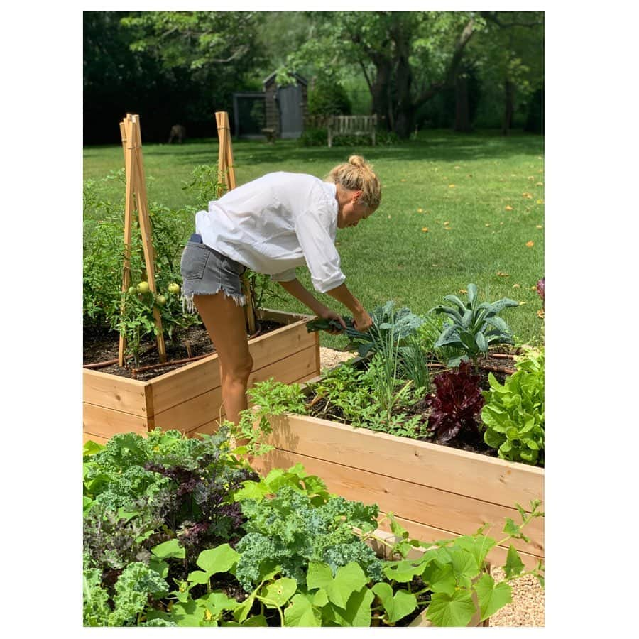 キャロリン・マーフィーさんのインスタグラム写真 - (キャロリン・マーフィーInstagram)「👩‍🌾🥒🥬🍅🍓🌽」7月21日 0時58分 - carolynmurphy