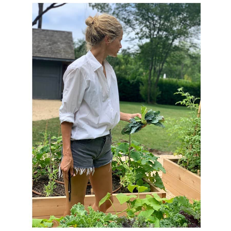 キャロリン・マーフィーさんのインスタグラム写真 - (キャロリン・マーフィーInstagram)「👩‍🌾🥒🥬🍅🍓🌽」7月21日 0時58分 - carolynmurphy