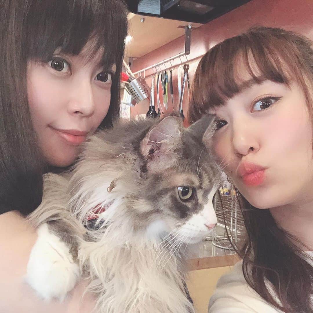 相沢あいのインスタグラム