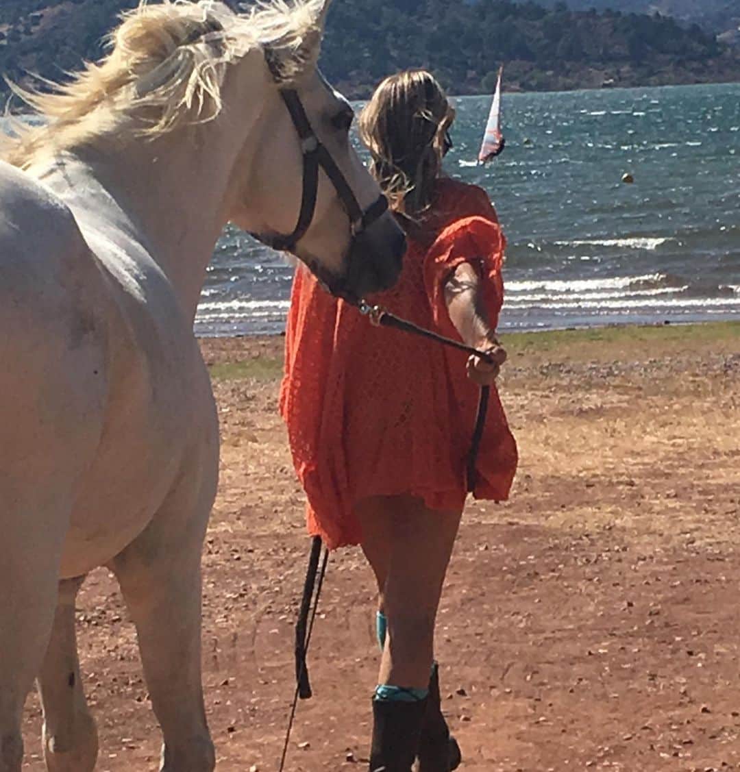 イネス・リグロンさんのインスタグラム写真 - (イネス・リグロンInstagram)「loving is looking in the same direction #horselover #passionate #naturephotography #france #camarguehorses」7月21日 2時51分 - inesligron