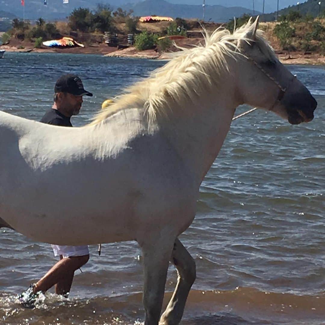 イネス・リグロンさんのインスタグラム写真 - (イネス・リグロンInstagram)「nothing better than swimming with your horse in a spectacular lake #southoffrance #naturephotography #horses」7月21日 2時58分 - inesligron
