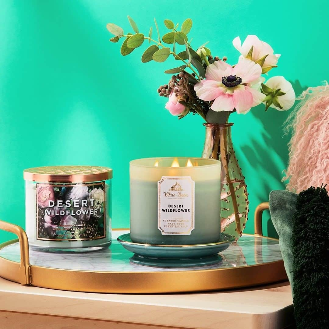 Bath & Body Worksさんのインスタグラム写真 - (Bath & Body WorksInstagram)「The World's Best Candles, now in a brand 🌸NEW🌸 fragrance! Desert Wildflower is a lush blend of wildflowers, jasmine & creamy sandalwood.」7月21日 4時01分 - bathandbodyworks