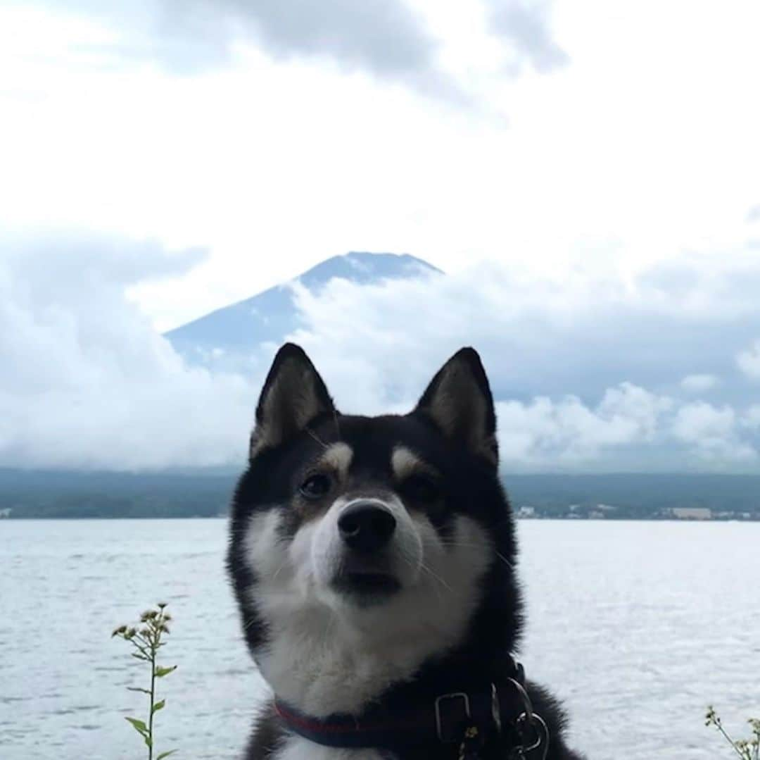 くろのインスタグラム