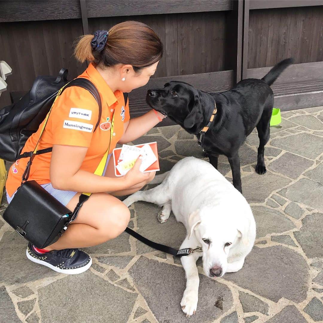 のインスタグラム：「*** サマンサタバサレディース、暑い中会場に応援に来てくれた皆さんありがとうございました！！ . 最終日、伸ばさなきゃいけない状況だったのに３つスコアを落としてしまいました。。 . そんなに悪いゴルフをしてたわけじゃなかったんですが、ついてない１日でした😭 . モヤモヤしてましたが、帰りにイーグルとバーディーに🐶会って癒されました☺️ . 気持ち切り替えて、また来週頑張ろう💪 . . #golf #サマンサタバサレディース #イーグルポイントゴルフクラブ #中々上手くいかず  #こんな日もある #気持ちの切り替えが大事  #犬に癒された  #来週は埼玉 #頑張ろう」