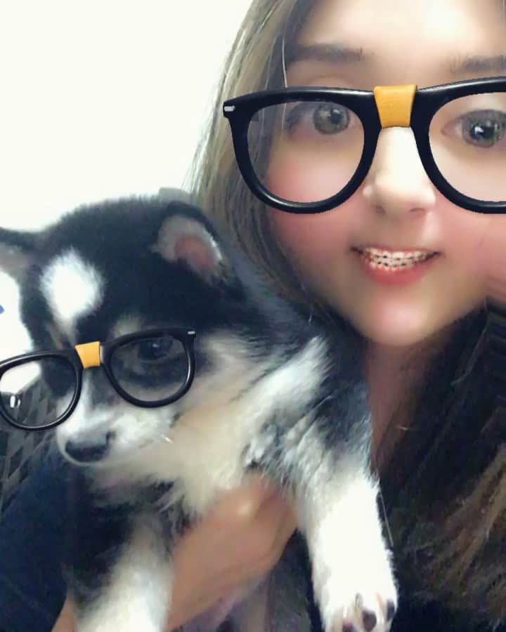 ステファニーのインスタグラム：「※友達の犬です、This is not my dog 名前はシャチ丸です、His name is shachi😭❤️ 今日は私の同級生の @yotakonno が司会を務めるラジオ「ホーホーチルドレン」の第2回目の放送！ゲストはわたくしステファニーでございます🙇‍♀️ みんな聞いてね！ I'll be on the radio today from 19:00, the link is below🎊  FMおだわら https://www.jcbasimul.com/radio/732/  今野陽太の「ホーホーチルドレン」 第１回ゲスト　ステファニー 毎週日曜日１９時～２０時 （隔週で再放送）  放送: 2019年7月21日（日）19:00-20:00  再放送 2019年7月28日（日）19:00-20:00 ※FMおだわらでは、電波と同時に、 パソコンやスマートフォンでラジオが聴ける 「JCBAインターネットサイマルラジオ」 へ配信を行っております。 FMおだわらのサイマルラジオは、 全世界どこからでもアクセス可能です。 インターネットの接続環境があれば、 お聴きいただけます。 詳しくはＦＭおだわらＨＰでご確認ください。」