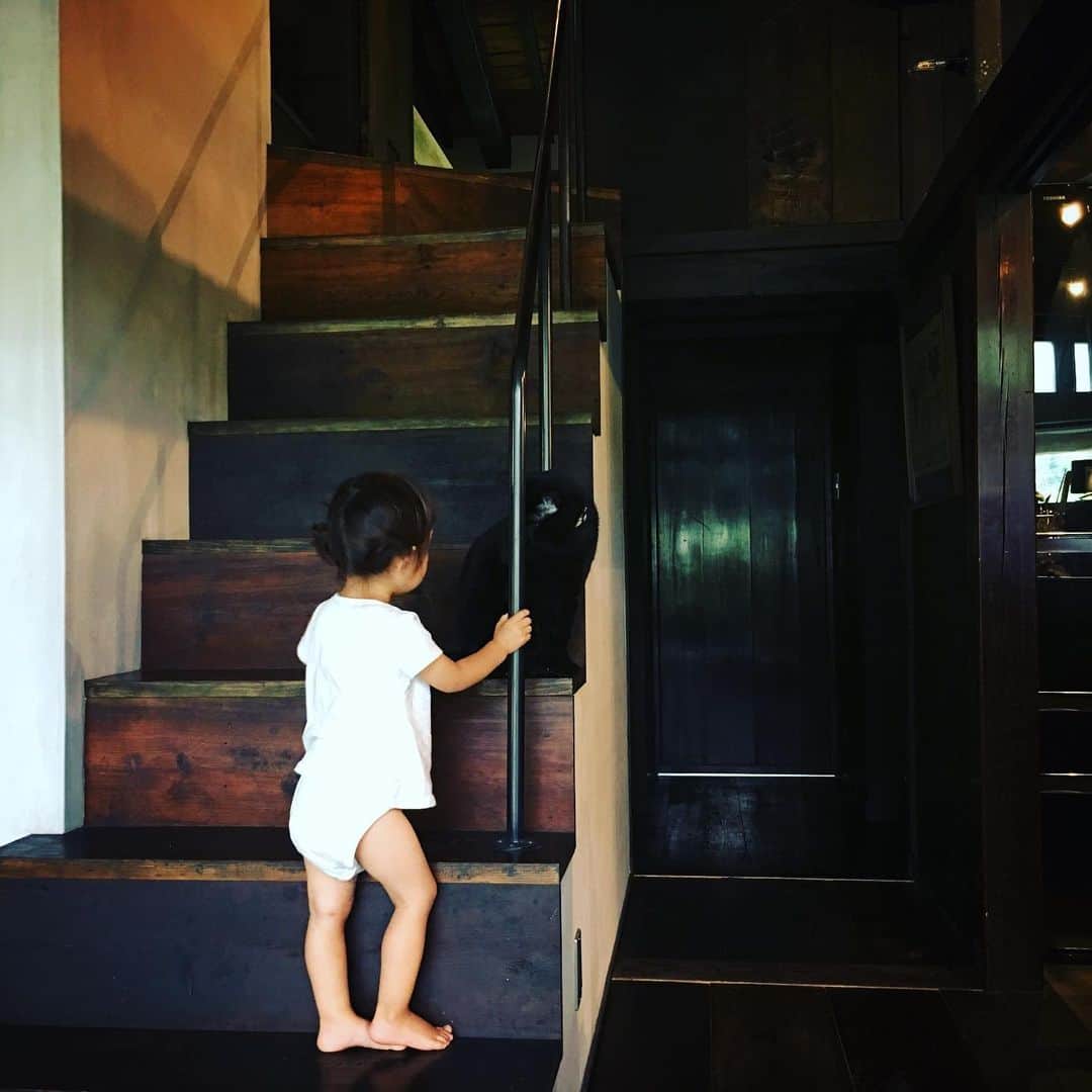 タニザワトモフミのインスタグラム：「今日は町内会の草刈りのあと、投票してきました。 さあどうなるか。」