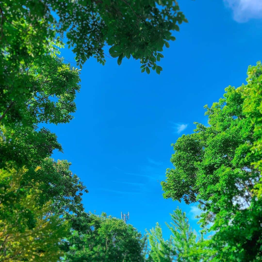 勝田梨乃のインスタグラム：「﻿ ﻿ ﻿ 気持ちいい....🌳☀️﻿❤️ ﻿ ﻿ #北海道#自然#日曜日#参院選挙2019#投票完了 #홋카이도#일요일#독서일#날씨좋다」