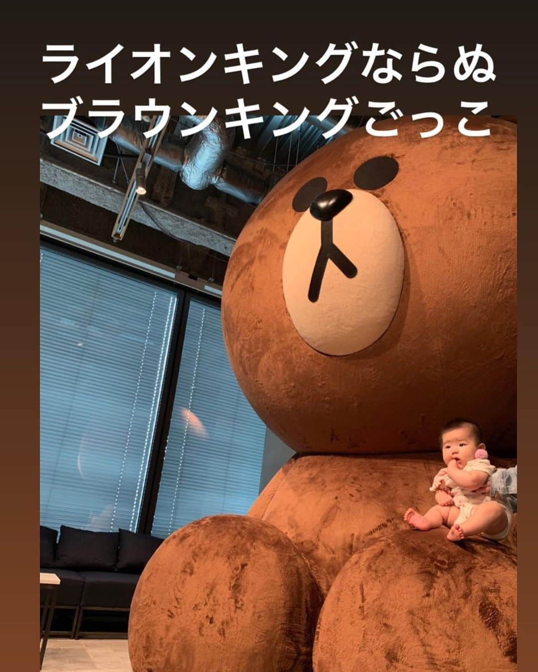 8utterflyさんのインスタグラム写真 - (8utterflyInstagram)「メガブラウン！!🧸 #LINE #linelive #本社にお邪魔しました #メガブラウン #可愛い #流石にはしゃいだ #生後5カ月」7月21日 16時27分 - 8utterfly