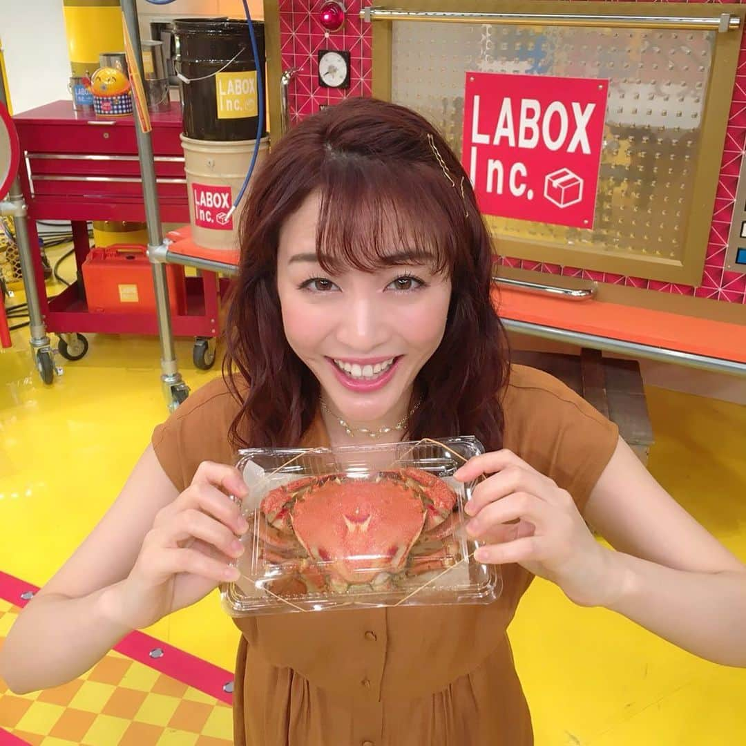 新井恵理那さんのインスタグラム写真 - (新井恵理那Instagram)「7/21『所さんお届けモノです！』(MBS/TBS 日曜17:00)は 「東海道で100年以上続く老舗の新名物特集２」 北海道・小樽の隣町の魅力を掘り下げます。 札幌ならではの海産物の燻製とは！？ 贅沢な海産物をたっぷりのせた丼も(*≧∀≦*) #所さんお届けモノです #北海道 #新井恵理那」7月21日 16時21分 - elina_arai