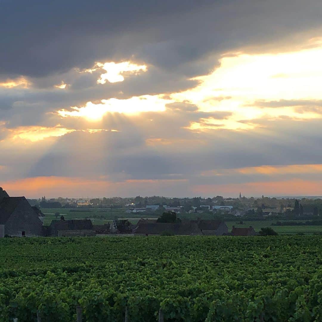 行正り香さんのインスタグラム写真 - (行正り香Instagram)「日の出直後のワイナリーをドライブしてきました。こんな美しい畑から、こんなワインができるのね、と感動します。ブルゴーニュ、石造りの建物が美しいエリアです。#rikayukimasa #行正り香#ブルゴーニュ#フランス#旅」7月21日 16時29分 - rikayukimasa