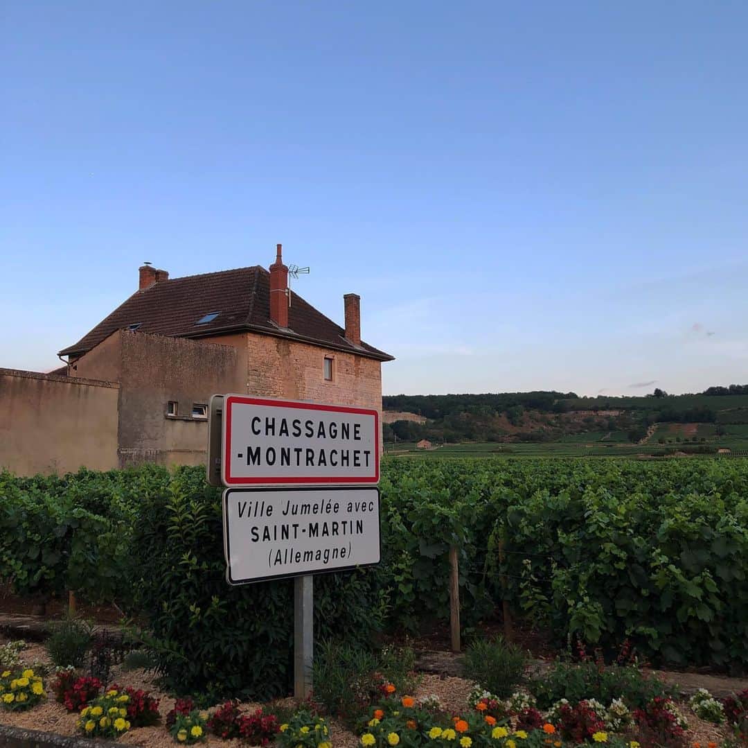 行正り香さんのインスタグラム写真 - (行正り香Instagram)「日の出直後のワイナリーをドライブしてきました。こんな美しい畑から、こんなワインができるのね、と感動します。ブルゴーニュ、石造りの建物が美しいエリアです。#rikayukimasa #行正り香#ブルゴーニュ#フランス#旅」7月21日 16時29分 - rikayukimasa