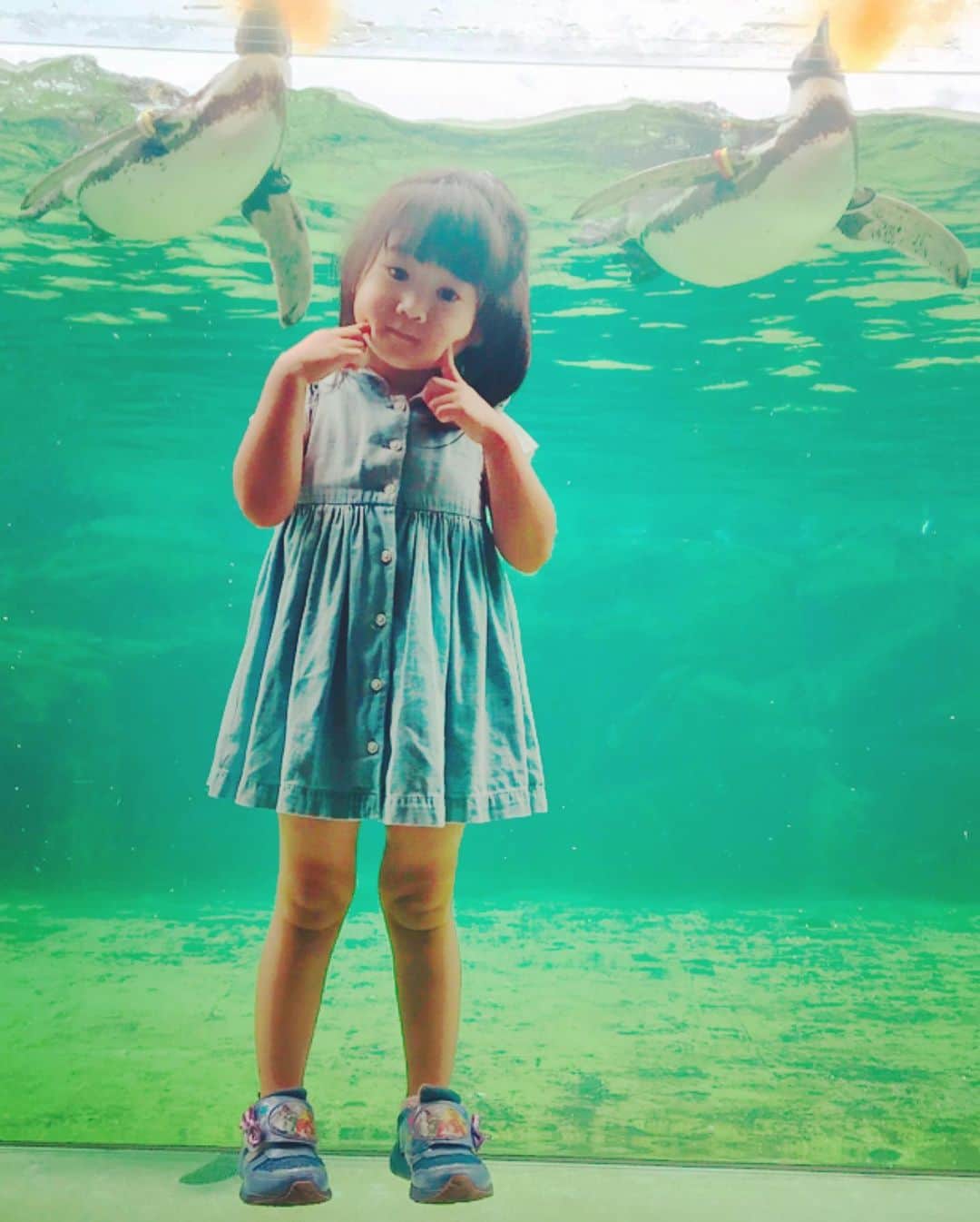 ジョー さんのインスタグラム写真 - (ジョー Instagram)「昨日は娘と水族館デート。 かき氷 一口ももらえませんでした。 #また行こう #娘 #女の子 #3歳5ヶ月 #愛してる #葛西臨海水族館 #水族館の中のいっぱいかわいいお土産が売っているお土産屋さんで娘が買ったのはクラゲのキーホルダー #イルカでもラッコでもペンギンでもなく #クラゲのキラキラしたキーホルダー #個性 #エッジ #パンチ」7月21日 8時14分 - doublename_jo