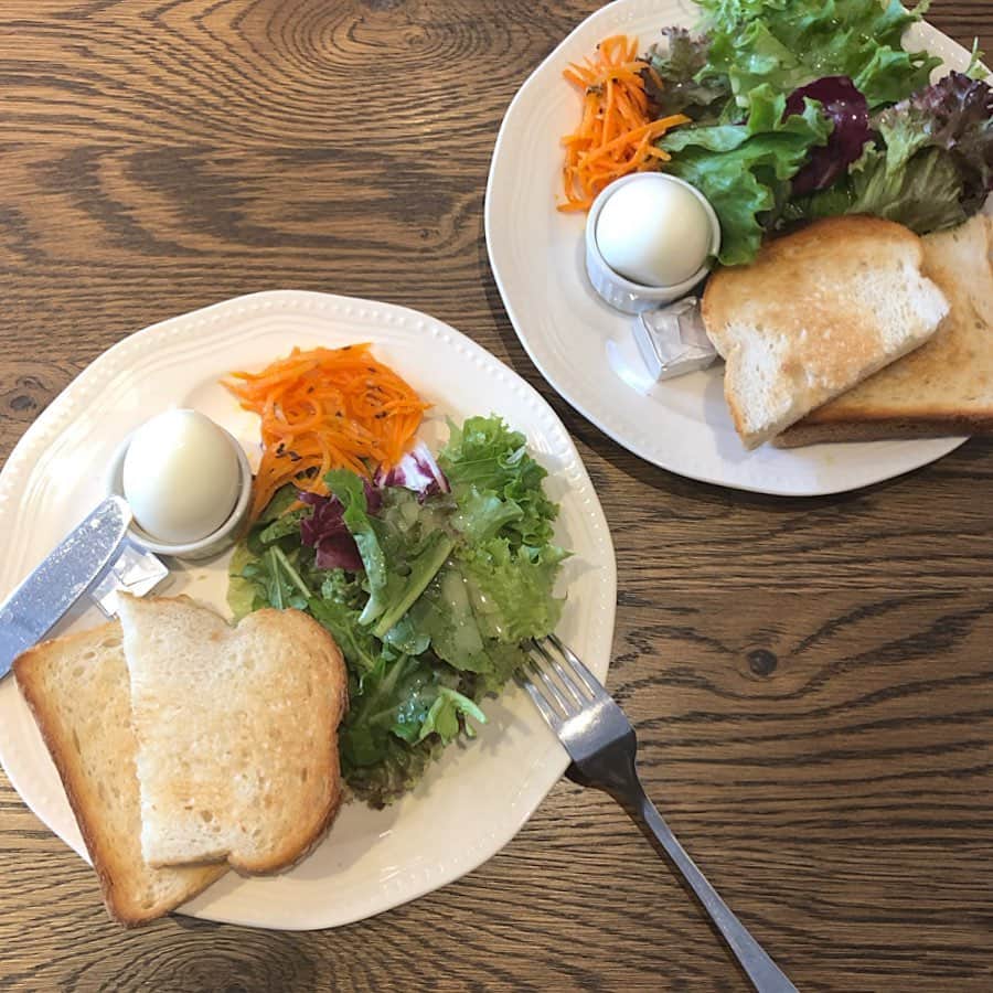 amigo.amigo.5205622のグルメインスタ