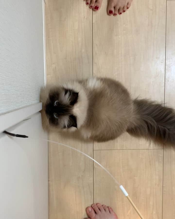 plumeのインスタグラム