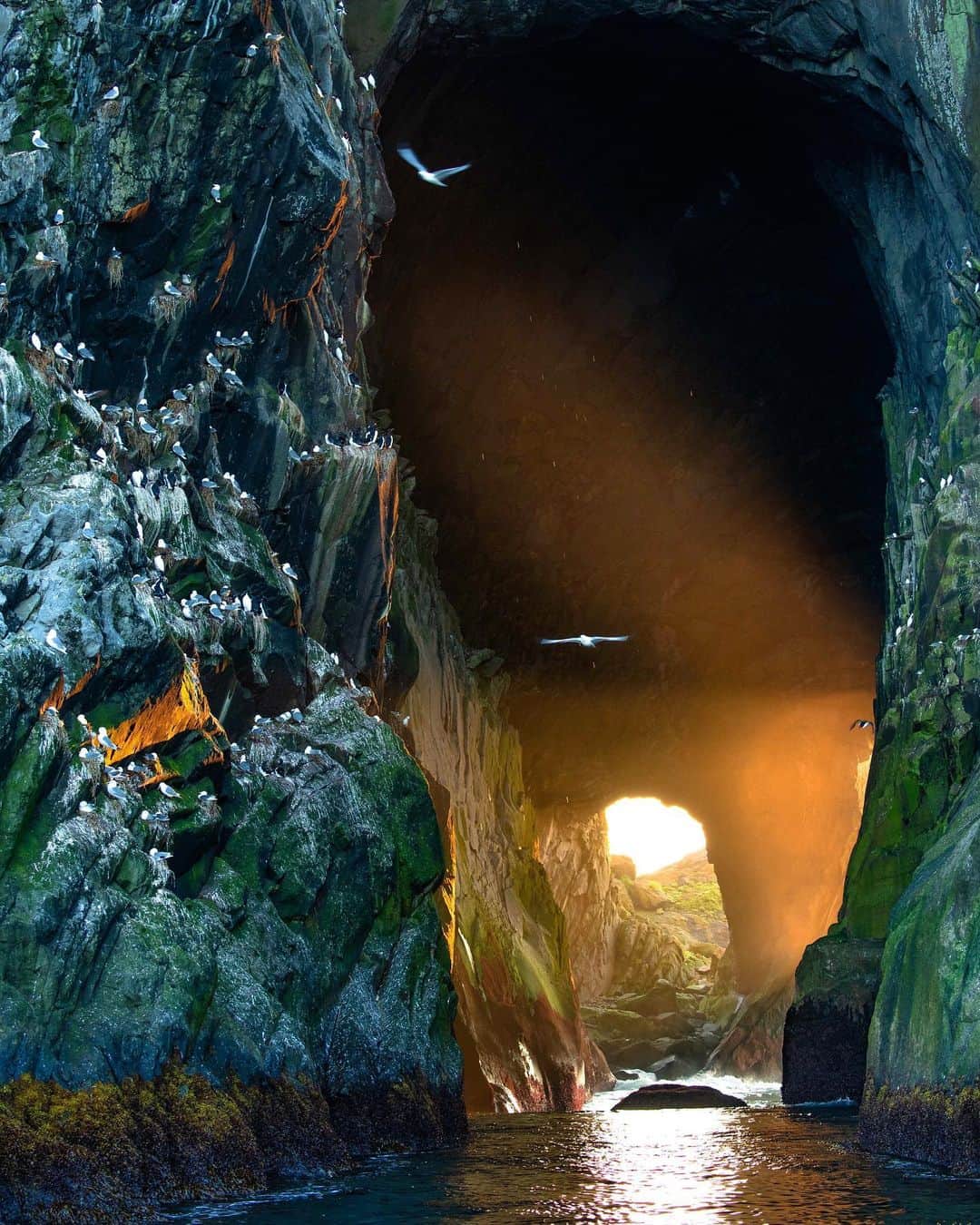 クリス・バーカードのインスタグラム：「Photo by @jtkerby ... a truly unique vision that I can only imagine a special few have witnessed.. under the right light this cave channels two perfect beams of light. Maybe the ancient Ainu people  celebrated this celestial alignment. #fromkurilswithlove  @rishisugla @taylorfreesolo @renan_ozturk @tedhesser @_ryanhill_ @povel @tomorrow_unlocked」