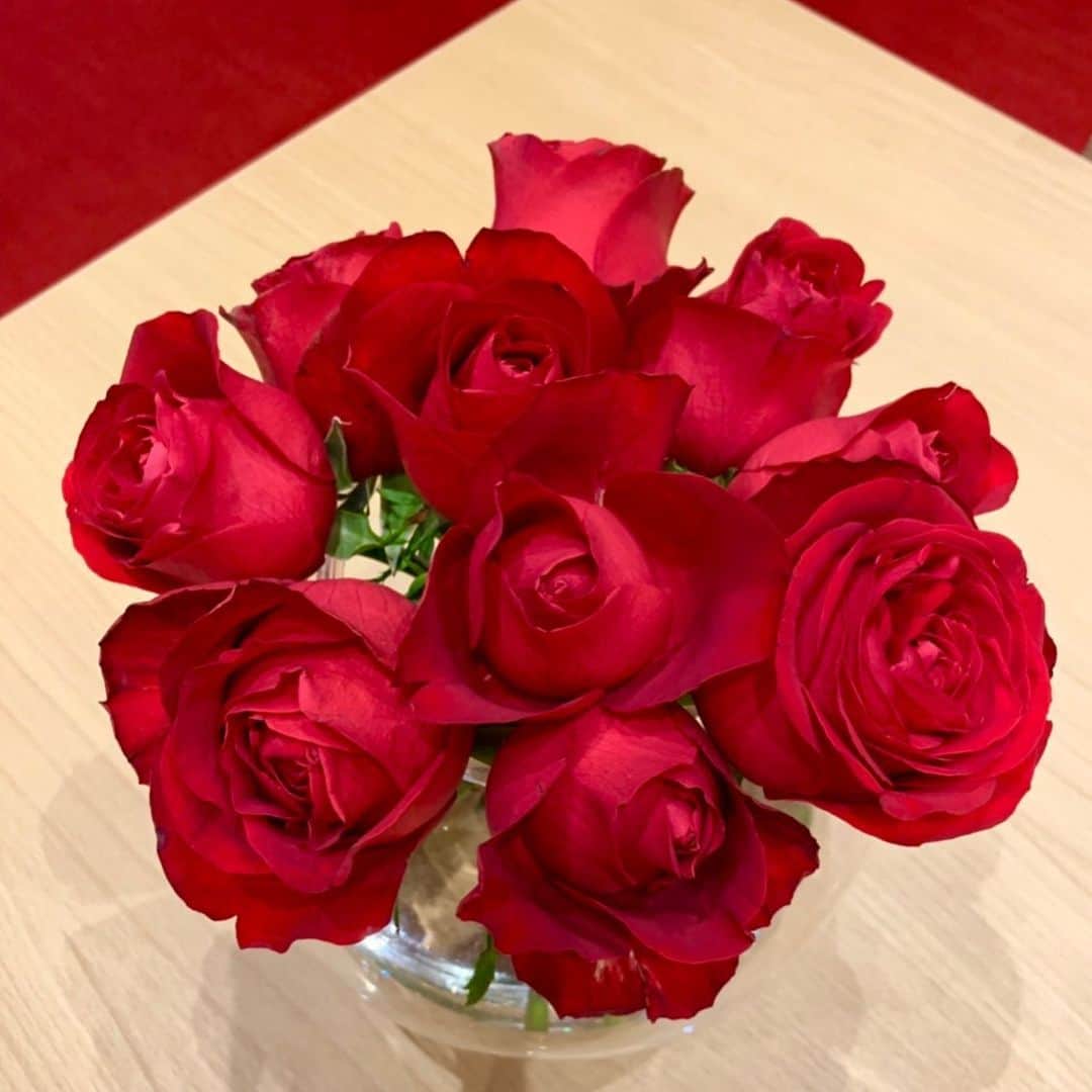 夏木マリさんのインスタグラム写真 - (夏木マリInstagram)「おはようございます！  今日は、選挙に行こう👣  そして、 本日はマリルージュの日！  One of Loveプロジェクトがプロデュースし、売り上げの一部が支援になる赤いバラの日です。  京都・小川珈琲さんでは、 マリルージュを先着プレゼント、 オリジナルカップでコーヒーがいただけます☕️ 是非、行ってみてね！  よい日を〜〜〜 #おはようシリーズ  #happysunday  #選挙 #お花シリーズ #マリルージュの日 #OneofLoveプロジェクト #支援 #小川珈琲 #kyoto  #NATSUKIROCK #marinatsuki  #夏木マリ」7月21日 9時23分 - mari_natsuki