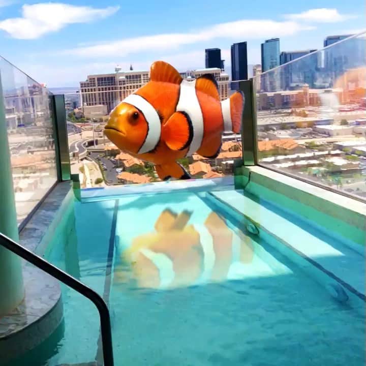 Palms Casino Resortのインスタグラム：「Weekend visitor. @vernbestintheworld」