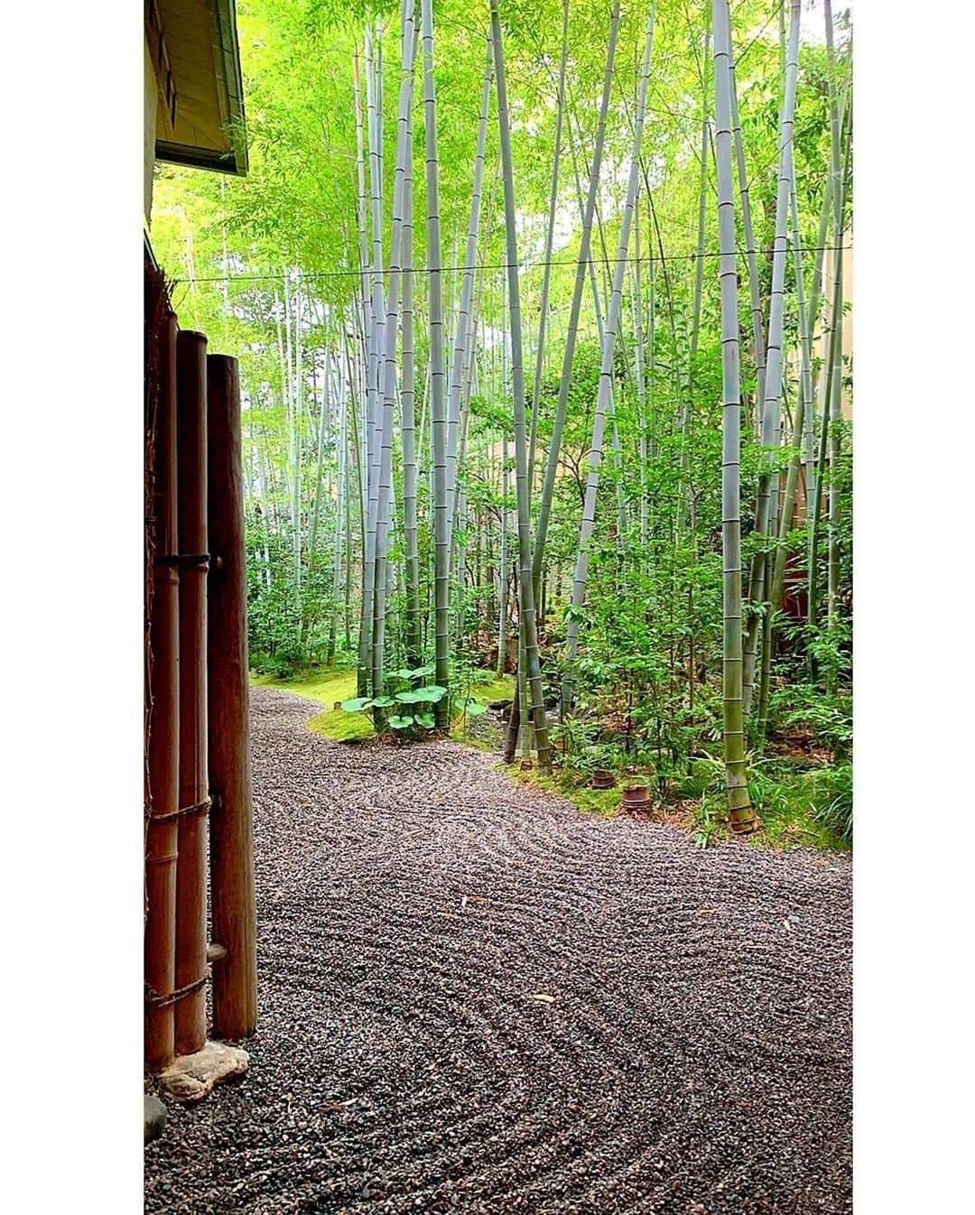 百合華さんのインスタグラム写真 - (百合華Instagram)「京都の平安神宮の近くにある美濃吉本店『竹茂楼』にてランチタイム🎶﻿ ﻿ 美しく整えられた枯山水庭園を眺めながら京懐石をいただき、とっても優雅な気分で週末のひとときを過ごす事が出来ました🥰﻿ ﻿ 担当の仲居さんが色々なお部屋を御案内してくださっただけでなく、帰り際には限定の特別純米酒まで持たせてくださりました✨﻿ ﻿ 夏のランチコースはまた次回UP致します💕﻿ ﻿ #京都 ﻿ #平安神宮﻿ #美濃吉﻿ #美濃吉本店﻿ #竹茂楼﻿ #京懐石﻿ #懐石料理﻿ #枯山水﻿ #枯山水庭園﻿ #内覧﻿ #ランチタイム﻿ #夏のランチコース﻿ #ランチコース﻿ #純米酒﻿ #特別純米酒」7月21日 10時17分 - yurika.lovelily