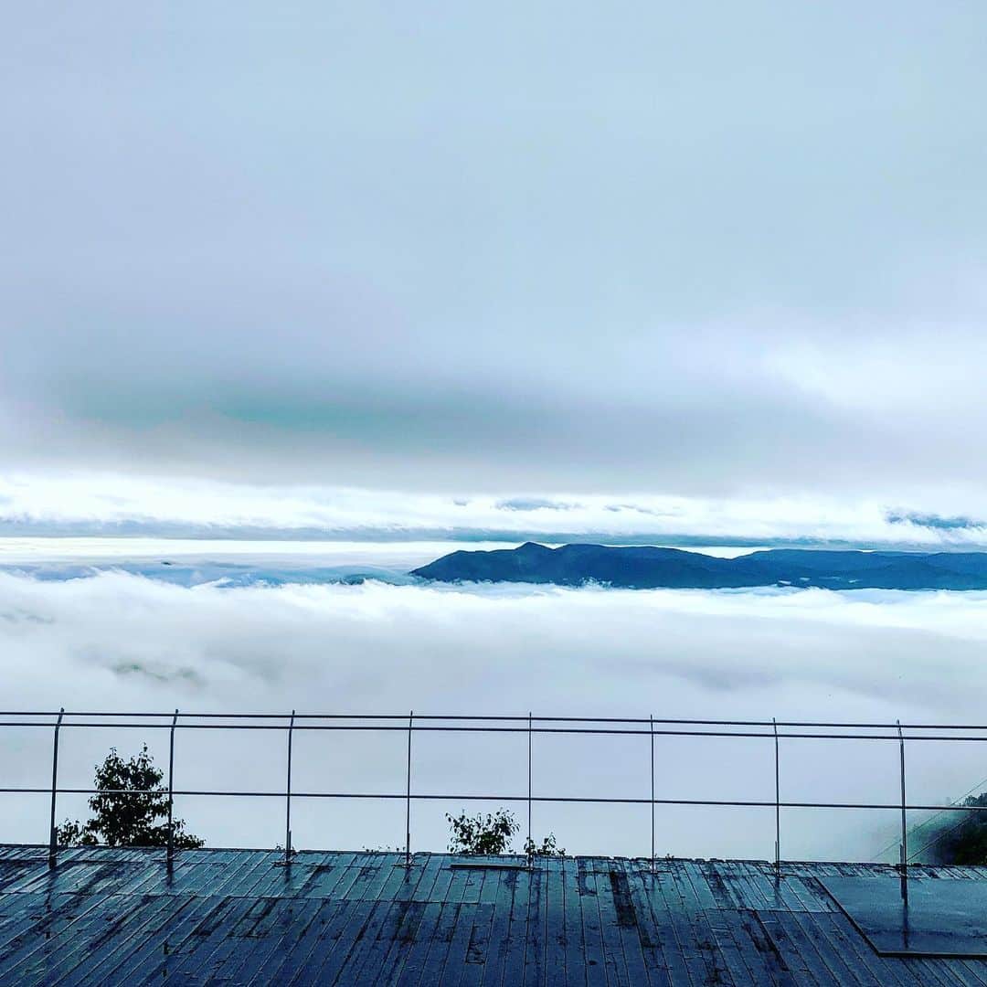 大桃美代子さんのインスタグラム写真 - (大桃美代子Instagram)「雲海コーヒー。  雲海を見ることが出来てラッキーでした。  見られなくても、このコーヒーで雲海気分を、、、。 自然現象を観光資源に思いついたのは、  ゴンドラ整備の方でした。  その発想を引き上げた星野リゾートのお偉いさんは偉い！！ 会社は、下のものに圧力かけるのではなく、  発想が形になるようにするのが経営者の責任なんじゃないだろうか？  社会貢献企業の役割を考える、  雲海テラスです。  #雲海テラス#雲海#星野リゾートトマム#星野リゾート#北海道#unkaiterrace #unkai#イマタビ#acejapan#行こう北海道ブルー」7月21日 10時54分 - miyoko_omomo
