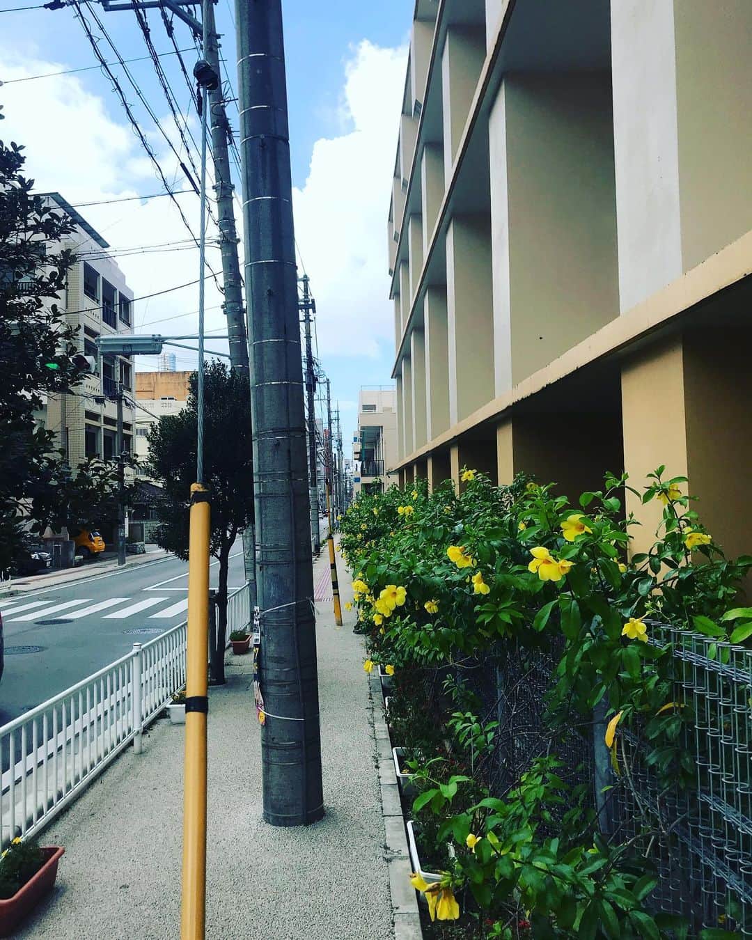 キャンヒロユキのインスタグラム