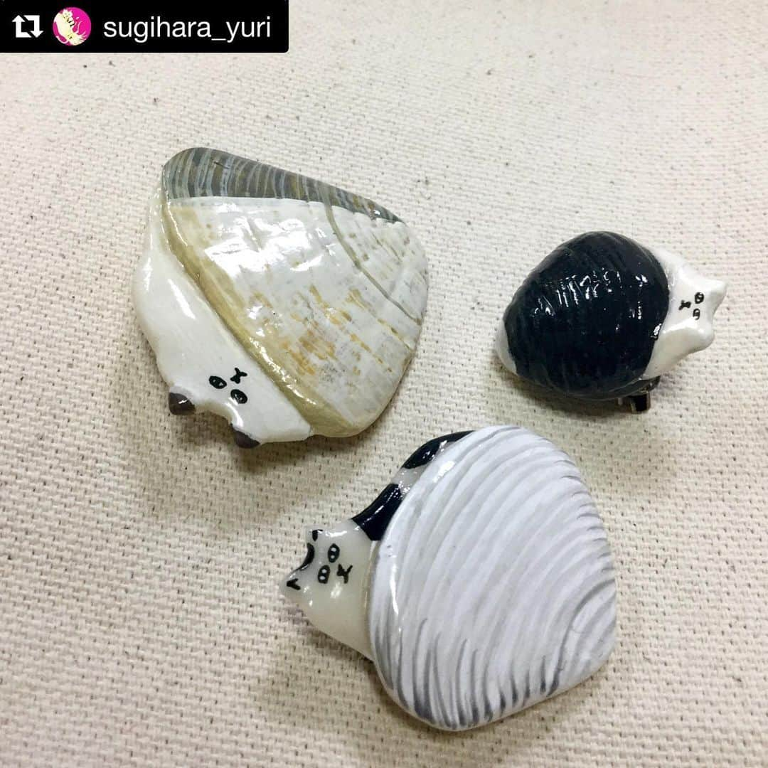 ねこさんのインスタグラム写真 - (ねこInstagram)「貝とねこ❣️🐚😹シュールすぎる…😂❤️❤️ #Repost @sugihara_yuri with @get_repost ・・・ かいねこ 各種（ブローチ）  新作ブローチ、千駄ヶ谷gallery BOBBIN 生きとし生ける生きもの展に出品の作品です。 7/20〜7/28まで開催※7/23火曜休み  #cat #neko #art #illustration #brooch #clay #gallery #BOBBIN #sendagaya #shell #ねこ #ネコ #猫 #貝 #かいねこ #貝猫 #ブローチ #イラスト #デザイン #作品 #すぎはらゆり #生きとし生ける生きもの展 #千駄ヶ谷 #ギャラリーボビン #しじみ #あさり」7月21日 12時37分 - neko_magazine