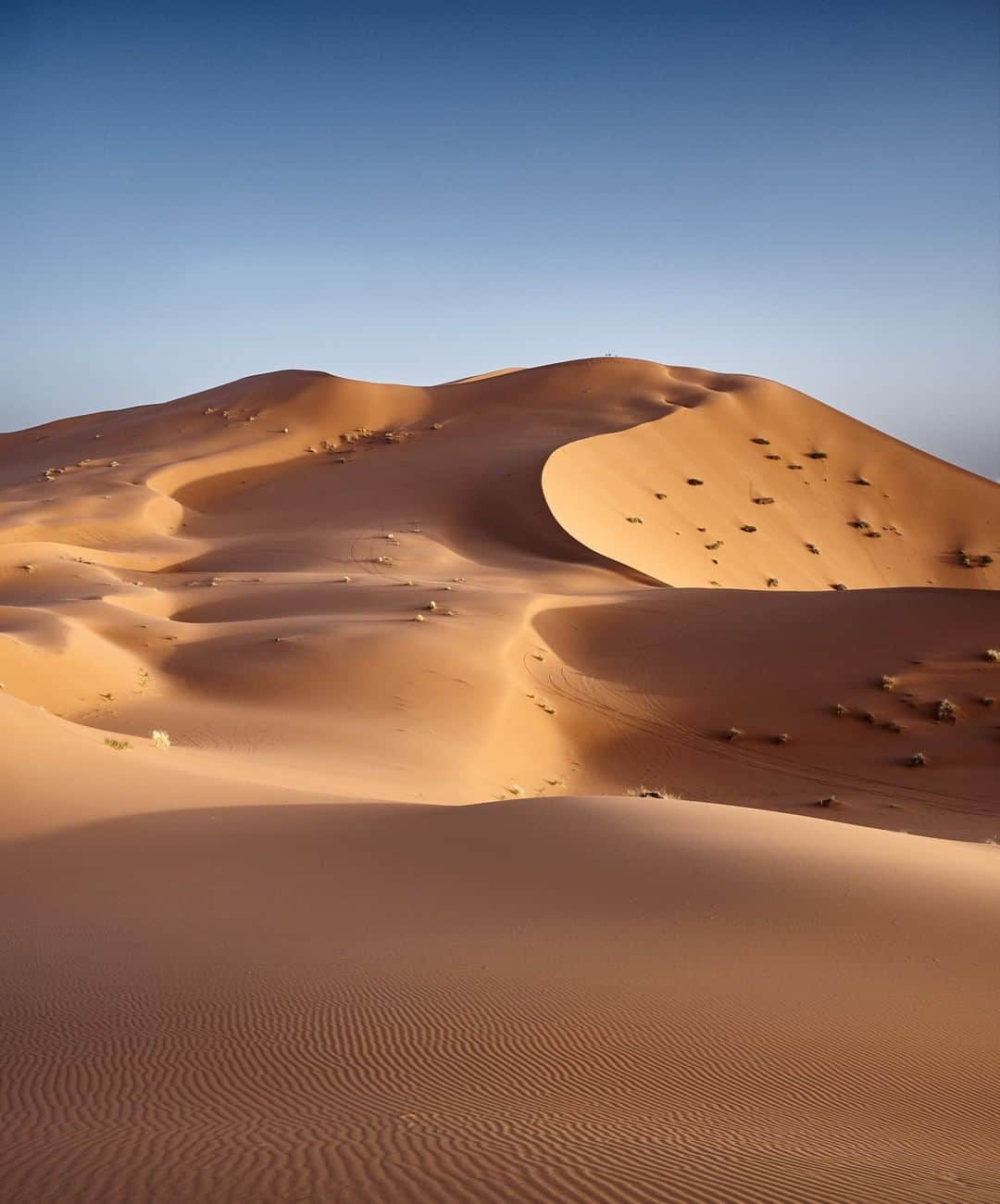 Nikon Australiaさんのインスタグラム写真 - (Nikon AustraliaInstagram)「"We were stuck in that spot until the sun went down completely, but luckily there were some nice desert landscapes from that point so I had all the time to take some pictures. On top of the dune you can see some people, so you have a reference how big the dune was." - @luciobarbano_landscapes  Camera: Nikon #Z6 Lens: NIKKOR Z 24-70mm f/4 S Settings: 30 mm | f/14 | 1/100s | ISO 400  #MyNikonLife #Nikon #NikonAustralia #NikonTop #Photography #DSLR #Nikkor #NikonZSeries #NikonZ6 #LandscapePhotography #DesertPhotography」7月21日 13時30分 - nikonaustralia