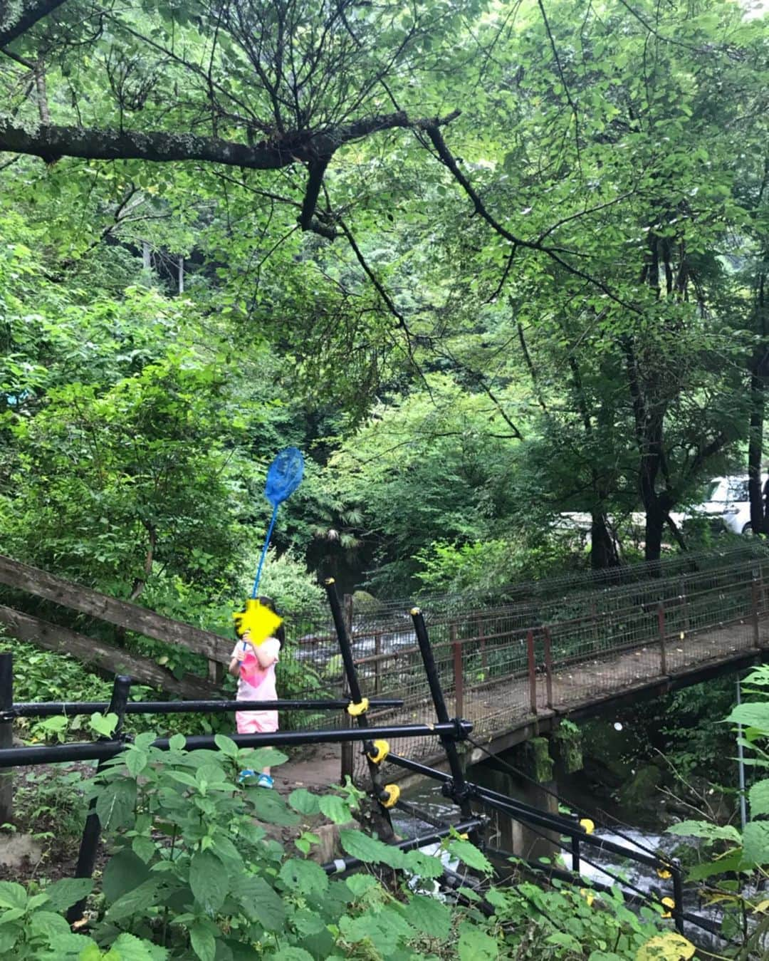 熊田曜子さんのインスタグラム写真 - (熊田曜子Instagram)「主人のお友達家族とキャンプに来てるよ🏕 子供達の笑い声がずっと聞こえてて 気が付いたら大人もみんな笑顔☺️ 最高の夏休みのスタートだよ🍉  #夏休み #キャンプ #家族 #family #バーベキュー #BBQ #スイカ割り #虫捕り #花火」7月21日 14時42分 - kumadayoko