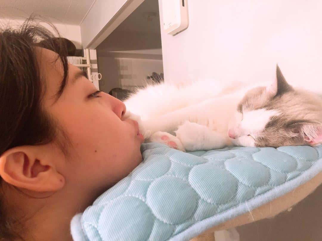 山内優花のインスタグラム：「.﻿ 愛しき親友 @laco_eowと﻿ lacoの愛猫🐈むーとん﻿ ﻿ 愛おしすぎて最近のデータフォルダ﻿ むーちゃんだらけ。﻿ だからここにも！！﻿ ﻿ むーとんアカウントと化す﻿ ﻿ 大好きなlacoの愛猫だから好きなのか..﻿ ううん、むーちゃんだから大好きなんだよ♡﻿ ﻿ いつまでも﻿ 3人と1匹 強く生きていこうね。﻿ ﻿」