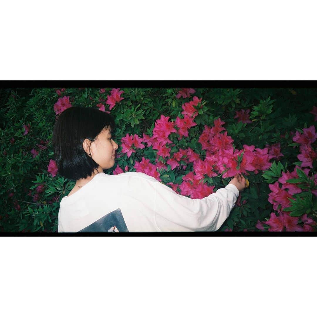 芳根京子さんのインスタグラム写真 - (芳根京子Instagram)「素敵な日曜日を🌺  #film」7月21日 15時02分 - yoshinekyoko