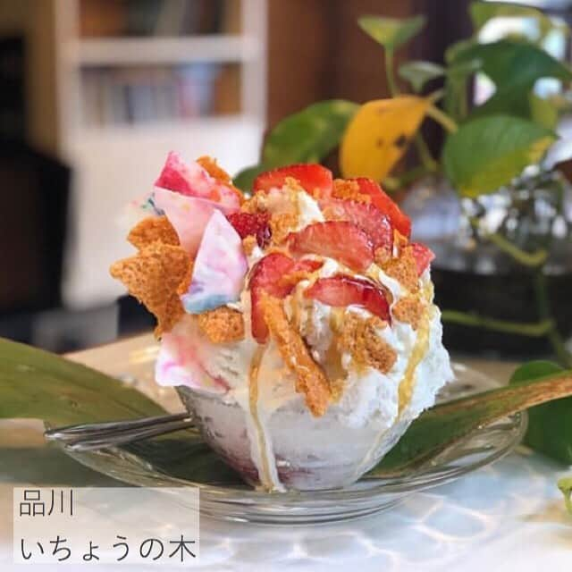 MOVE / ムーブさんのインスタグラム写真 - (MOVE / ムーブInstagram)「❁ ﻿ ┈┈┈┈┈┈┈┈┈┈┈┈┈┈┈﻿ ﻿ 夏がやってくる🍧﻿ 暑い日には、冷たいかき氷が食べたい❤︎﻿ ﻿ 今回は、東京都内で食べられる、﻿ 絶品かき氷をご紹介します！！﻿ ﻿ しっかり予習して、美味しいかき氷を食べに﻿ お出かけしちゃいましょう！  カフェルミエール 住所:武蔵野市吉祥寺南町1-2-2東山ビル4階 電話番号:0422-48-2121 定休日：月曜日（祝日、祝前日は営業※その場合は火曜日休み） かき氷販売時間 火～金曜14:00～20:00 土・日曜、祝日13:00～18:00 ﻿ かぼちゃ 住所：東京都世田谷区三軒茶屋2-38-10 電話番号：03-5481-1553 営業時間：10：00～19：00 定休日：不定休  いちょうの木 電話番号:09088182835(11:30～17:00) 住所:東京都品川区北品川1-28-14 Map 営業時間:11:30～17:00 定休日:木・日定休（7～9月）、木定休（10～6月）  浅草よろず茶屋444 住所:東京都台東区浅草4-4-4 浅草荘マンション1F TEL:03-5808-9408 営業時間:11：00（土日祝10：00）〜14：00、15：00〜18：00 定休日:月休  目黒ひいらぎ 住所：東京都目黒区鷹番3-18-3 営業時間：平日　11:00～20:00 　日・祝　11:00～19:00 定休日：火曜日  photoby﻿ ‪‪❤︎‬ @manatan_0911 ❤︎ @noriko_s_0214 ❤︎ @rie_tabi ❤︎ @rmrm3838 ❤︎ @kanasanpo_1106 ﻿ MiLKではみなさんからのお写真を募集しています♥﻿﻿﻿﻿ @milk_magazine_﻿﻿ をタグ付けして投稿してね♥﻿﻿﻿ ﻿ ┈┈┈┈┈┈┈┈┈┈┈┈┈┈┈﻿ @milk_web #milk_magazine﻿﻿﻿ #milkmagazine ﻿﻿ ﻿ #かき氷#かき氷部#かき氷巡り#東京かき氷#東京かき氷巡り#東京カフェ#東京カフェ巡り#三軒茶屋カフェ #三軒茶屋カフェ巡り #吉祥寺かき氷#吉祥寺カフェ巡り #目黒かき氷 #目黒カフェ巡り #浅草かき氷#浅草カフェ巡り#品川かき氷 #品川カフェ巡り #カフェルミエール#目黒ひいらぎ#かぼちゃ#いちょうの木#浅草よろず茶屋444」7月21日 15時14分 - milkmag_official