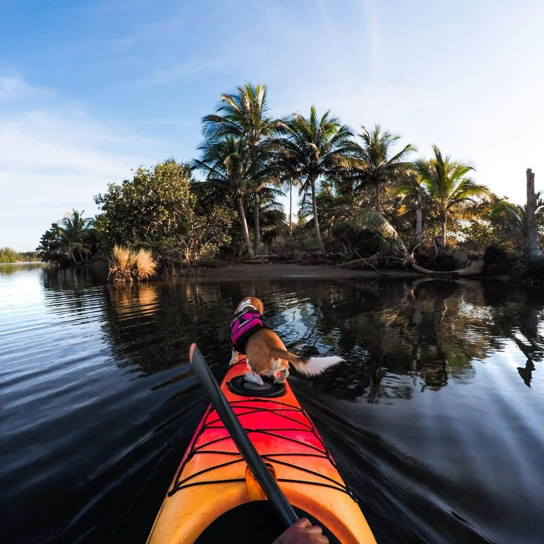 goproさんのインスタグラム写真 - (goproInstagram)「Buenos días de #Mexico. 🇲🇽 @GoProMX here to inspire your #TravelList. Which activity would you sign up for? 👉 • 1/4: Take to the skies for a bird's eye view. 📷 @gerardobistrain 📍 Puerto Escondido, Mexico • 2/4: Explore hidden gems with local tour guides. 📷 @theseakayaker 📍 Veracruz, Mexico • 3/4: Capture the cascading calcified waterfalls of Hierve el Agua. 📷 @jersongomezz 📍 #Oaxaca, Mexico • 4/4: Get adventurous + rappel through el Cañón de las Hormigas. 📷 @efrencanela 📍Nuevo León, Mexico • • • Submit your travel content to the #TripOn Challenge today. Link in bio. #GoProMX #GoProAwards #GoPro #PuertoEscondido #SummerTravel」7月22日 0時58分 - gopro