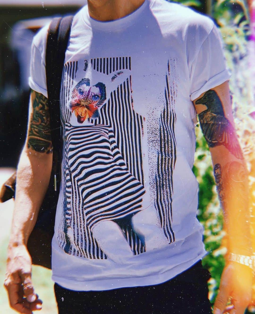 ギャランティスさんのインスタグラム写真 - (ギャランティスInstagram)「#seafoxnation stay wavy this summer !! pre-orders ship out this friday 📦✈️ shop now via link in bio」7月22日 1時08分 - wearegalantis