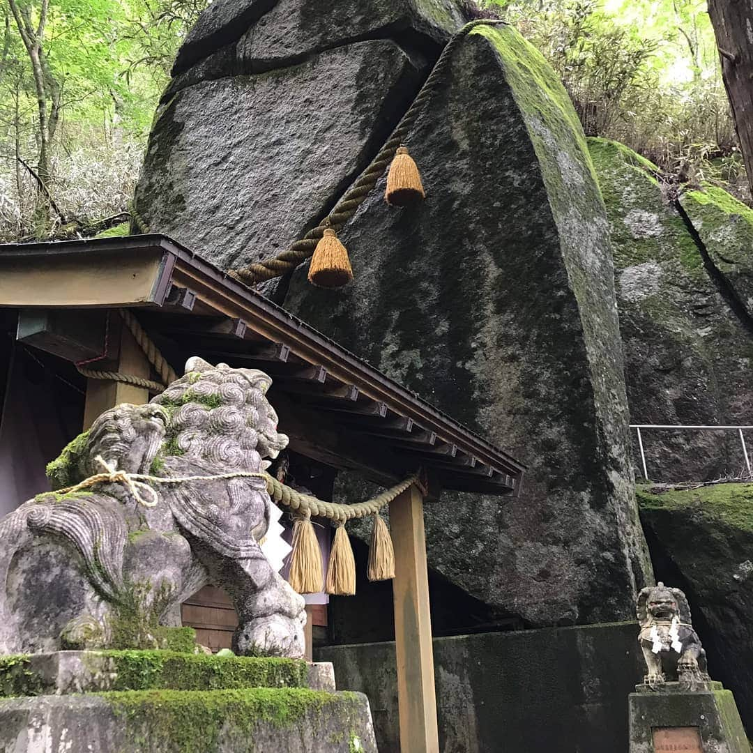 LOVE ME DOさんのインスタグラム写真 - (LOVE ME DOInstagram)「山梨県、山中湖村にある石割神社に行って来ました！汗だくになります！膝がガクガクになります！替えのTシャツが必要です。 #山梨県 #山中湖 #石割神社 #開運 #勝負運 #ラブちゃんパワースポット #パワースポットツアー  #パワースポット巡り #替えのtシャツ必要 #替えのtシャツ必須 #替えのパンツ必須 #帰りは温泉 #帰りは温泉でさっぱり #膝がガクガク #膝がガクガクする」7月21日 17時56分 - lovemedo_fortunteller