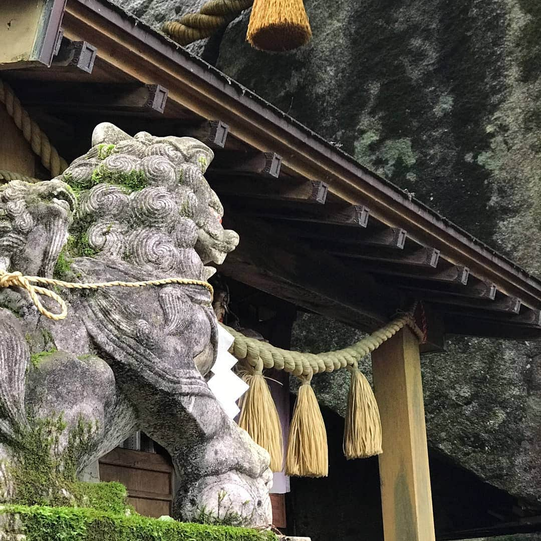 LOVE ME DOさんのインスタグラム写真 - (LOVE ME DOInstagram)「山梨県、山中湖村にある石割神社に行って来ました！汗だくになります！膝がガクガクになります！替えのTシャツが必要です。 #山梨県 #山中湖 #石割神社 #開運 #勝負運 #ラブちゃんパワースポット #パワースポットツアー  #パワースポット巡り #替えのtシャツ必要 #替えのtシャツ必須 #替えのパンツ必須 #帰りは温泉 #帰りは温泉でさっぱり #膝がガクガク #膝がガクガクする」7月21日 17時56分 - lovemedo_fortunteller