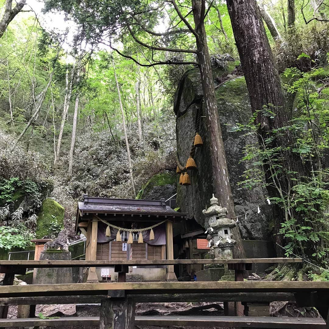 LOVE ME DOさんのインスタグラム写真 - (LOVE ME DOInstagram)「開運、勝負運の神様、石割神社！体力が必要です！汗だくになります！膝がガクガクになります！替えのTシャツが必要です。 #山梨県 #山中湖 #石割神社 #開運 #勝負運 #ラブちゃんパワースポット #パワースポットツアー  #パワースポット巡り #替えのtシャツ必要 #替えのtシャツ必須 #替えのパンツ必須 #帰りは温泉 #帰りは温泉でさっぱり #膝がガクガク #膝がガクガクする」7月21日 18時06分 - lovemedo_fortunteller