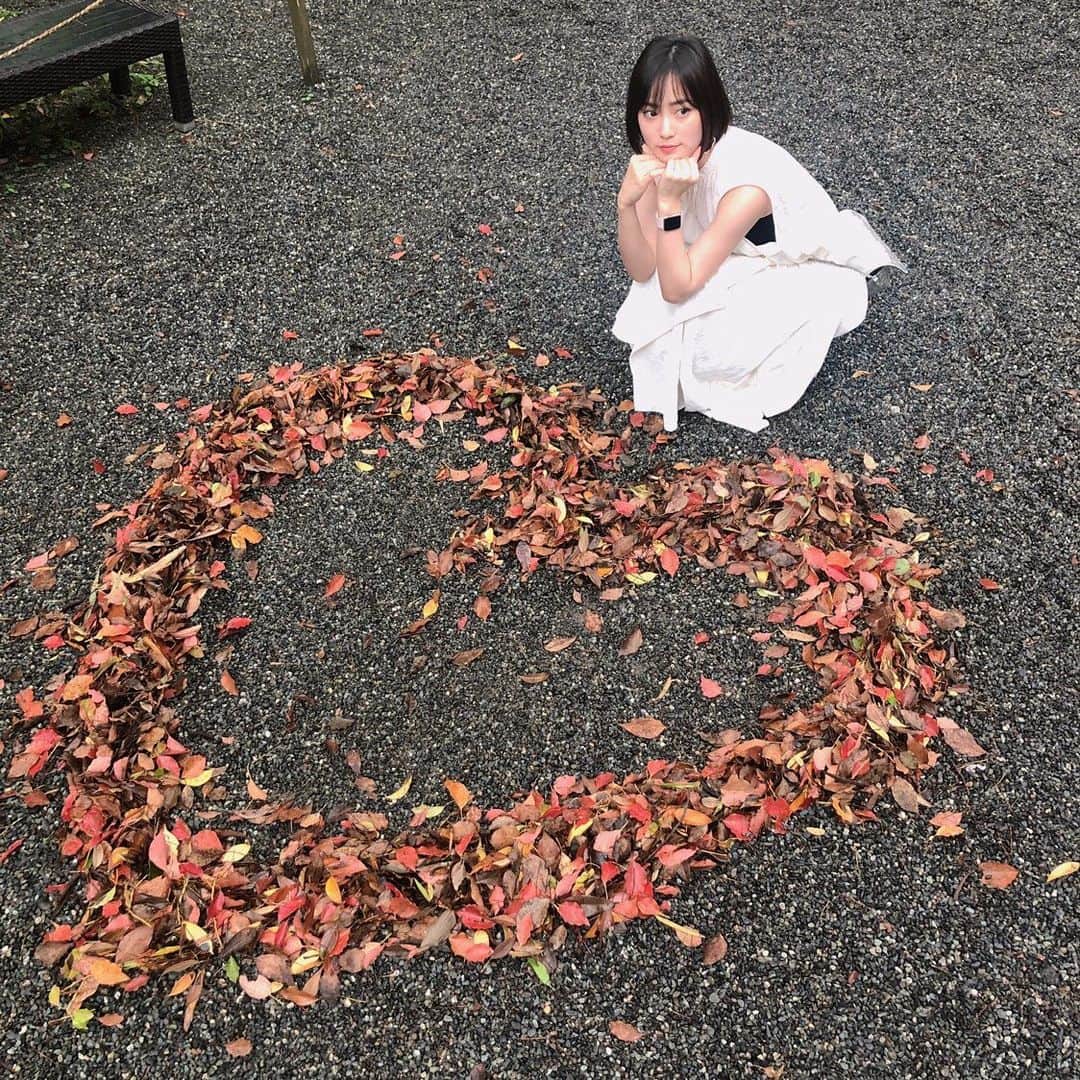 池上紗理依さんのインスタグラム写真 - (池上紗理依Instagram)「可愛く落ち葉がまとめられてた。♡🍂 すてき😌」7月21日 19時05分 - sarii_ikegami
